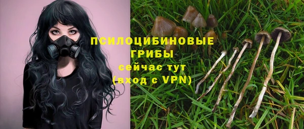 хмурый Абинск