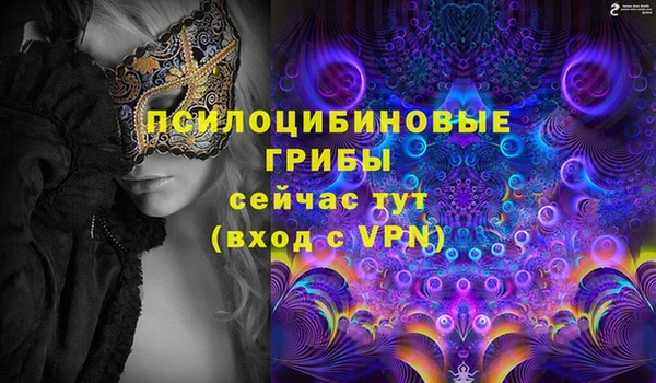 амф Абаза