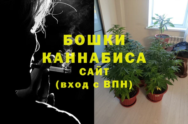 амф Абаза